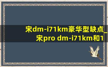 宋dm-i71km豪华型缺点_宋pro dm-i71km和110km怎么选